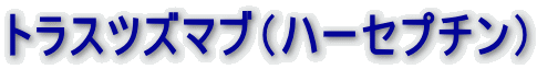 トラスツズマブ（ハーセプチン）